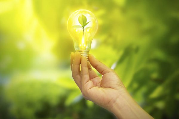 hand holding light bulb with energy, fresh green leaves inside