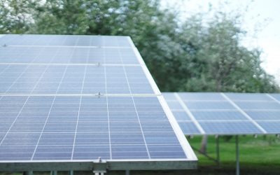 Top 6 Factors to Consider Before Installing Solar Panels